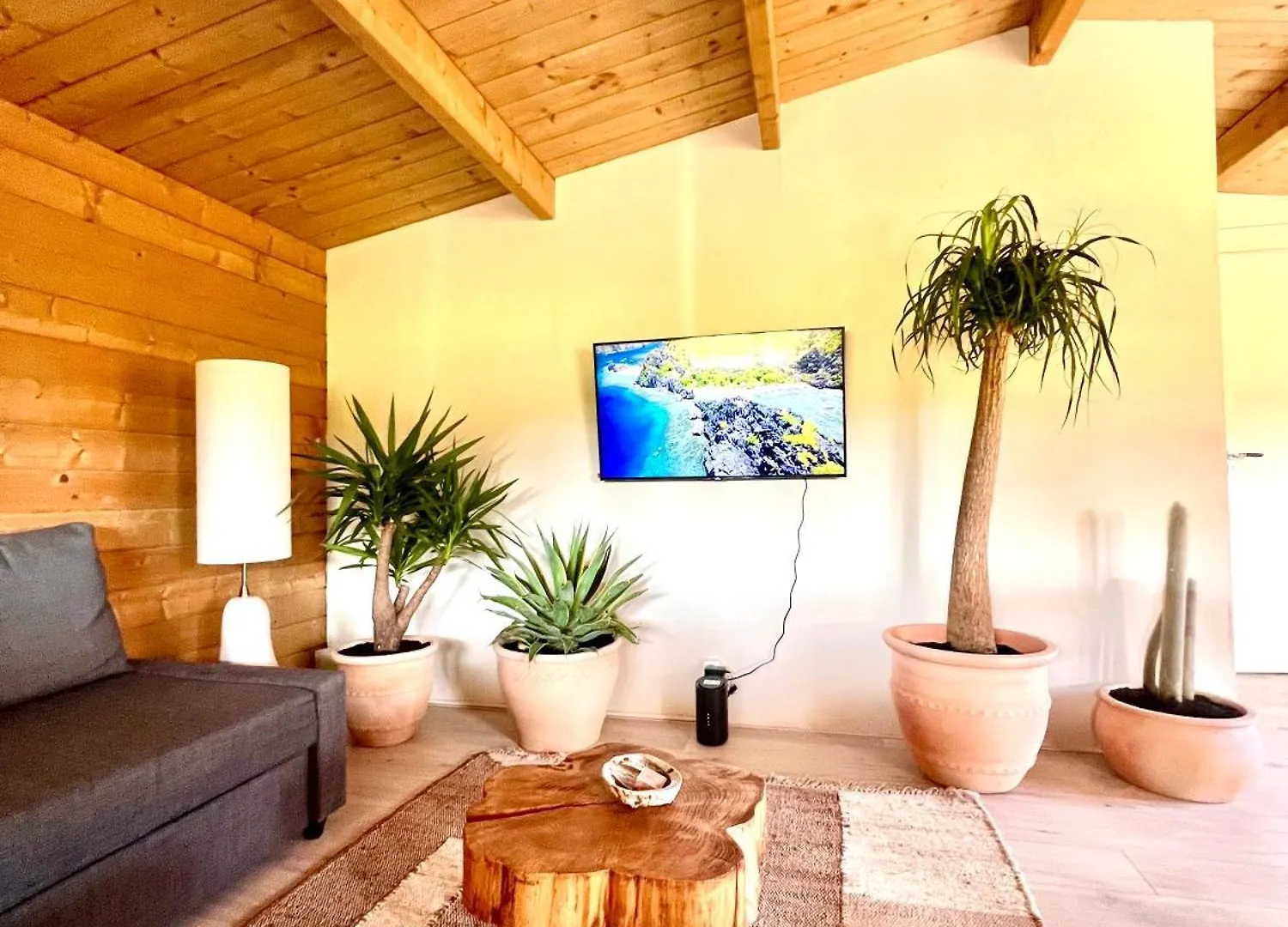 Holiday home Mediterranean Style Chalet With Jacuzzi And Garden Near Amsterdam Vijfhuizen Netherlands